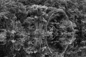 © Sebastião Salgado/Contrasto