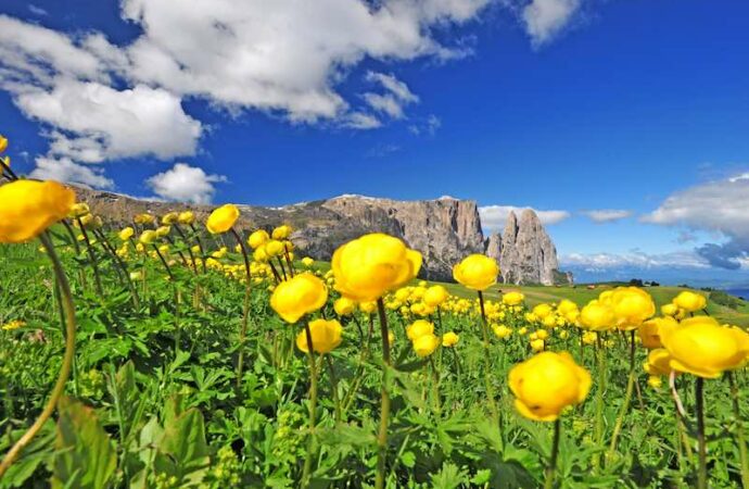 Proposte “benessere & relax” di 30 hotel in Alto Adige