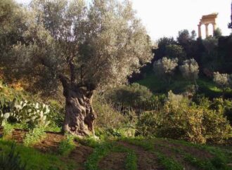 Cin cin, degustazioni nel Giardino della Kolymbethra