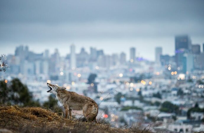 A Milano le foto del Sony World Photography Awards
