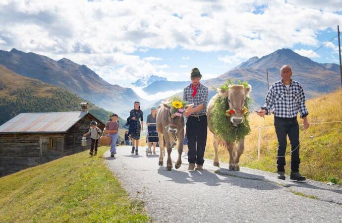 A Livigno e Trepalle torna a rivivere l’antica Transumanza