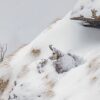 Fotografare il Parco, concorso per chi “cattura emozioni”