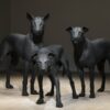 Milano, in Triennale sei potenti sculture di Ron Mueck