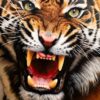 Animali in posa davanti al pittore. Per un ritratto
