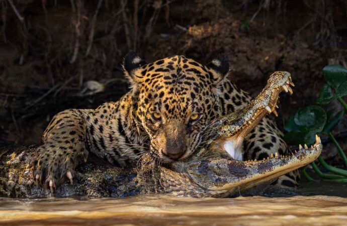 Sony World Photography Awards: and the winner is…