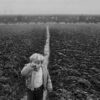 Al MAR di Ravenna 180 fotografie di Sebastião Salgado